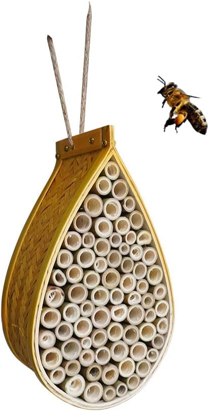 mason bee house 天然竹梅森蜂巢 supercharge your garden orchard